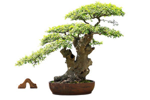 Miniature Ceramic Bridge Figurine |Bonsai and Fairy Garden Figurine | 4in x 1in x 2in