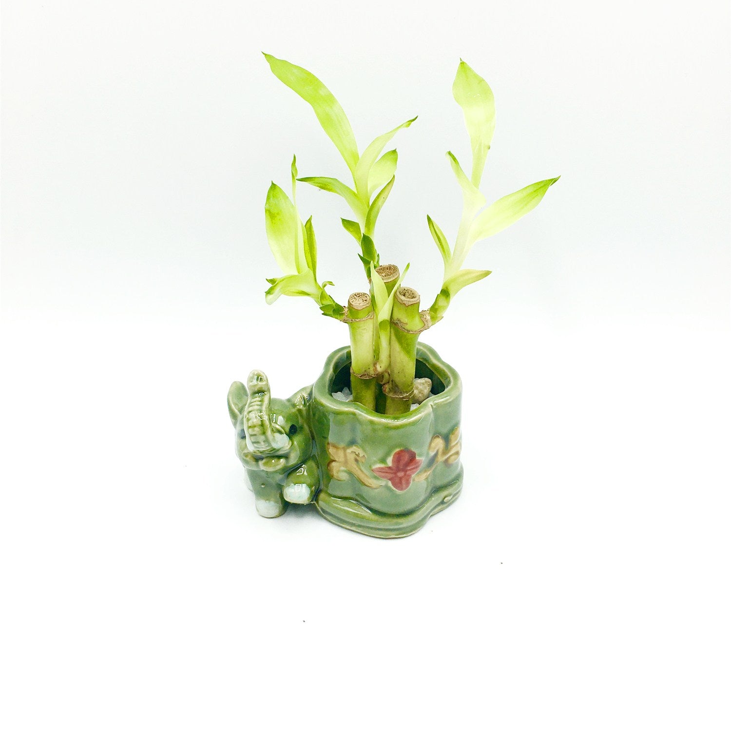 3.5‘’High Elephant Glazed Vase For Lucky Bamboo