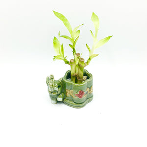 3.5‘’High Elephant Glazed Vase For Lucky Bamboo