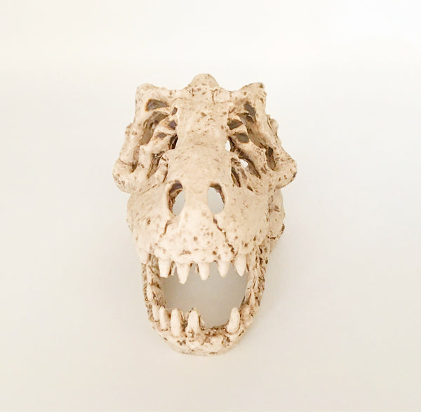 Aquarium Or Reptile House Resin Emulation skull Ornament And Family Daily Decoration