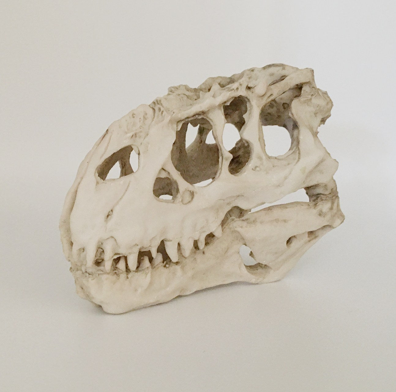 Aquarium Or Reptile House Resin Emulation skull Ornament And Family Daily Decoration