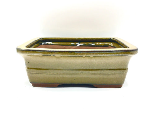 9''Glazed Bonsai Pot